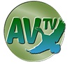 Av Tv